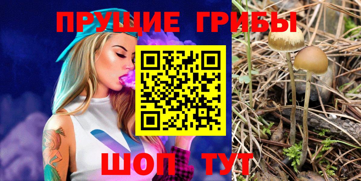 Галлюциногенные грибы прущие грибы Артёмовский