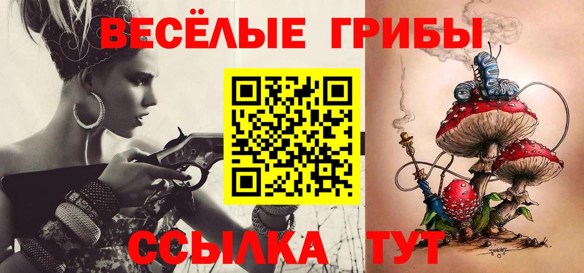 Галлюциногенные грибы Psilocybine cubensis  Вход с VPN  Артёмовский 