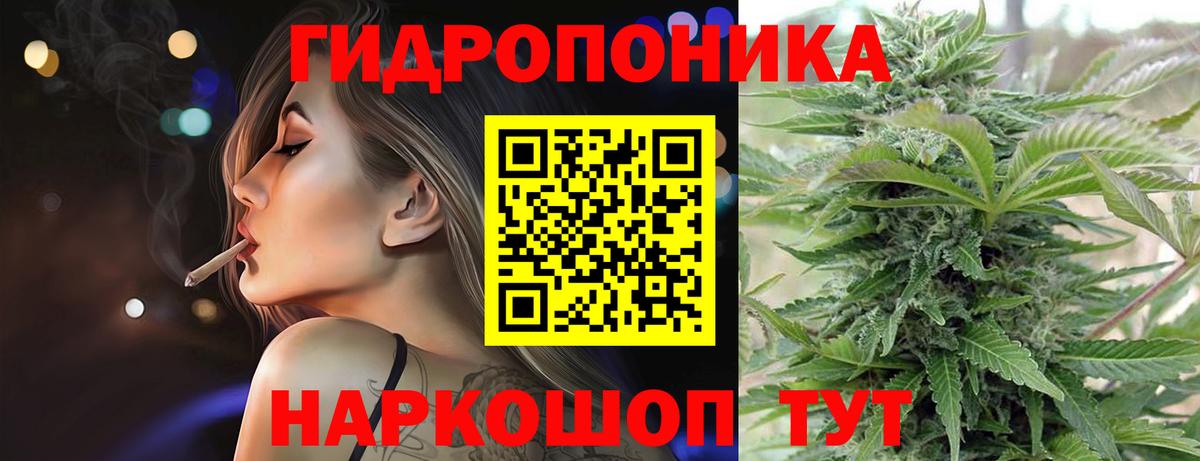 Марихуана сатива  Марихуана индика  Марихуана план  Вход с VPN  Артёмовский  Каннабис AK-47 